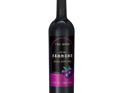 广誉远 黑果腺肋花楸酒 750ml*2瓶