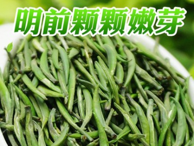 新茶明前雀舌毛尖嫩芽散装茶叶批发君山银针岳阳250g